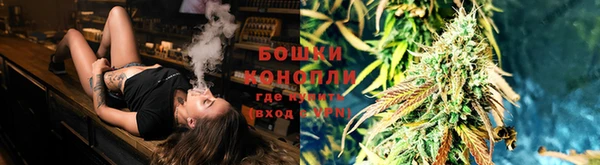 PSILOCYBIN Бугульма